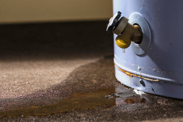 Best 24-hour water damage restoration  in Bingham Farms, MI