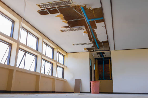 Water damage restoration insurance claims in MI