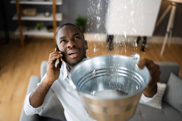 Best Carpet water damage restoration  in Bingham Farms, MI