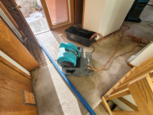 Best Professional water damage repair  in Bingham Farms, MI