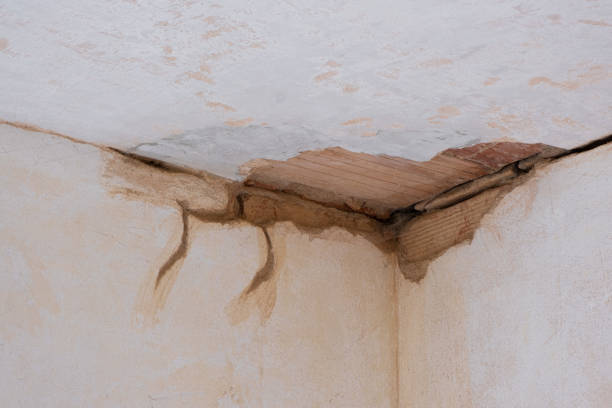 Best Flood damage cleanup  in Bingham Farms, MI