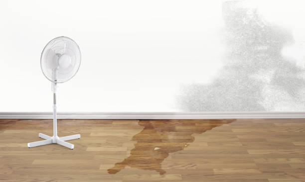 Best Professional water damage repair  in Bingham Farms, MI