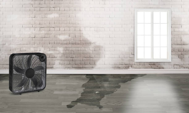 Best Commercial water damage restoration  in Bingham Farms, MI