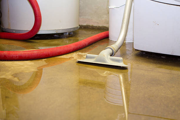 Water damage restoration process in MI