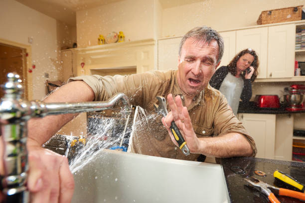 Best 24/7 water damage repair  in Bingham Farms, MI